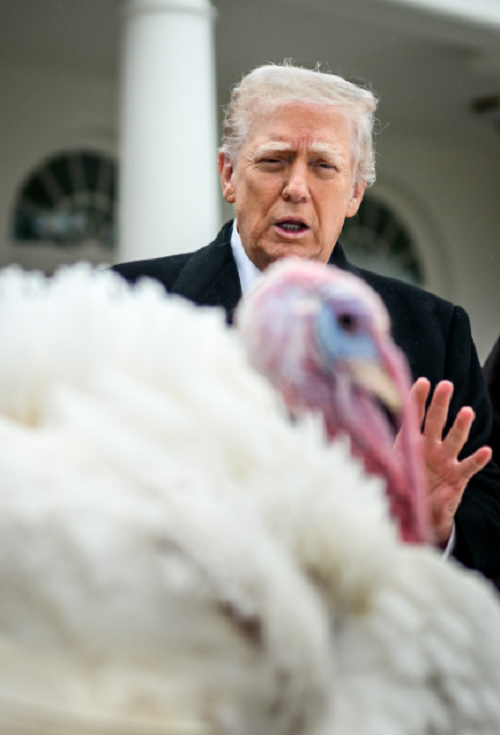 Трамп традиційно помилував індичок до Дня подяки 